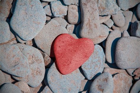 what is a stony heart.